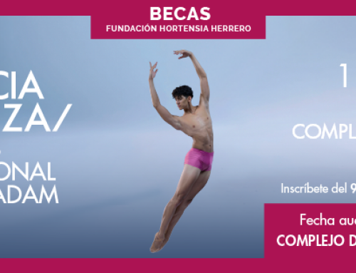 Hortensia Herrero Foundation Scholarships